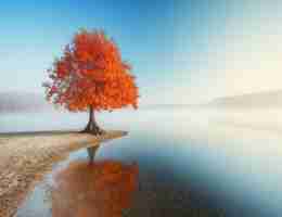 自​动​化​脚‍本‍是‌什‍么‌意‍思‍啊‌